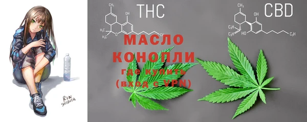 стафф Каменногорск