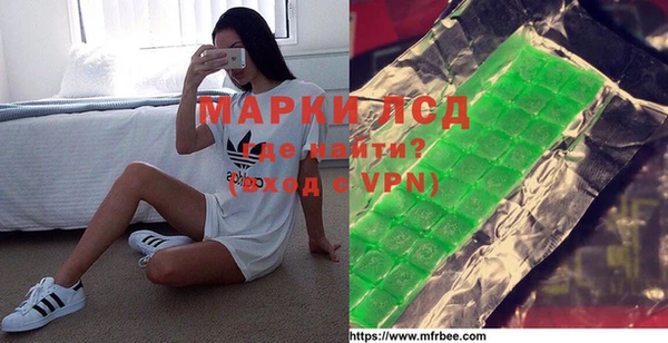 стафф Каменногорск