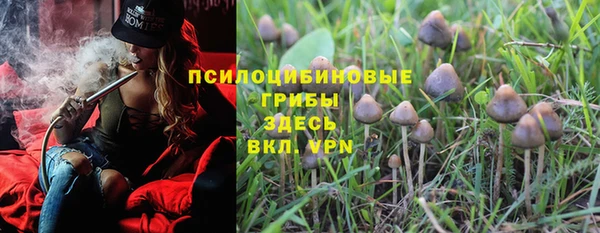 винт Каменск-Шахтинский