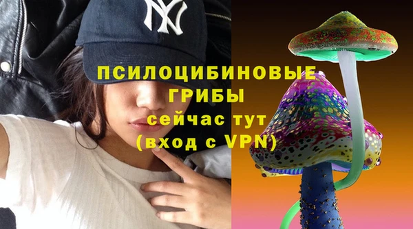 винт Каменск-Шахтинский