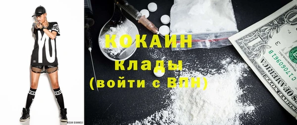 стафф Каменногорск